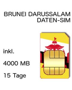 Brunei SIM